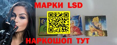 шишки Будённовск