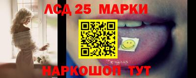 шишки Будённовск