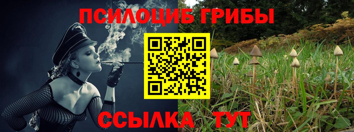 Галлюциногенные грибы GOLDEN TEACHER  Галлюциногенные грибы Psilocybine cubensis  Вход с VPN  купить закладку  Махачкала 
