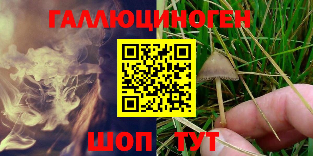 Псилоцибиновые грибы ЛСД Махачкала